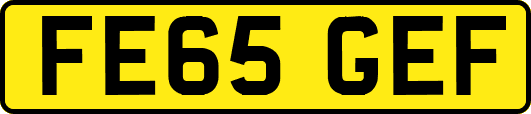 FE65GEF