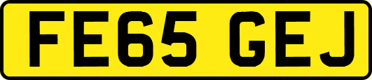 FE65GEJ
