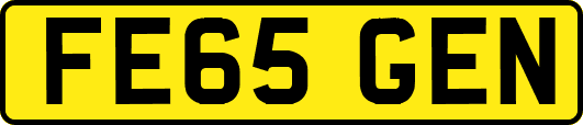 FE65GEN