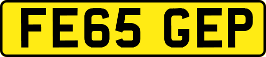 FE65GEP