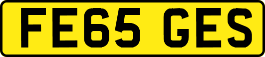 FE65GES