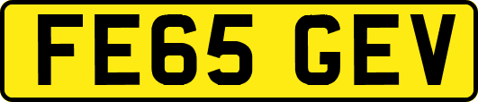 FE65GEV