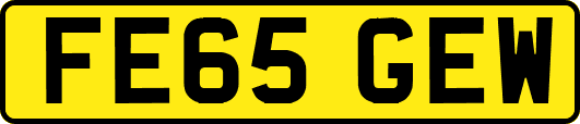 FE65GEW