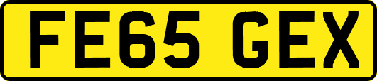 FE65GEX