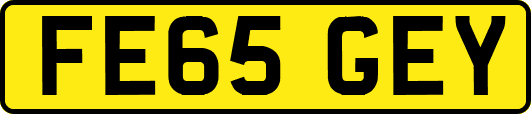 FE65GEY