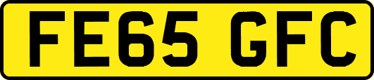 FE65GFC