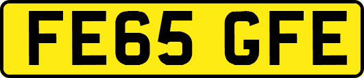 FE65GFE