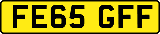 FE65GFF