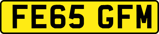 FE65GFM