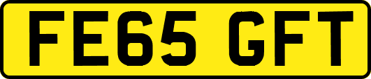 FE65GFT