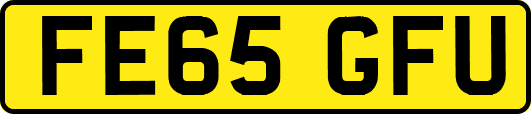FE65GFU