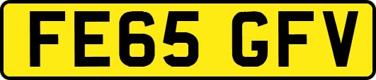 FE65GFV