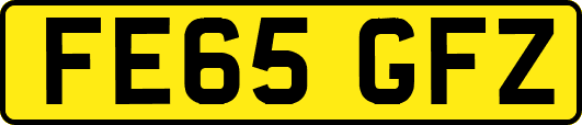 FE65GFZ