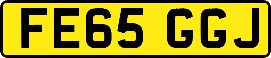 FE65GGJ