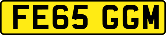 FE65GGM
