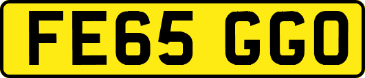 FE65GGO