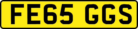 FE65GGS