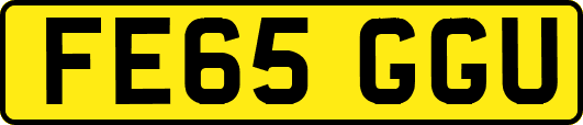 FE65GGU