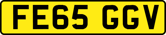 FE65GGV