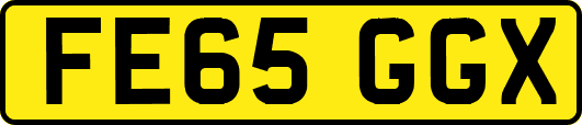 FE65GGX