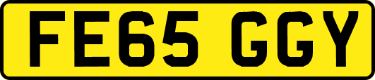 FE65GGY