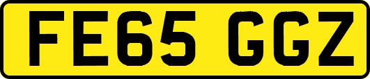 FE65GGZ