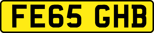 FE65GHB