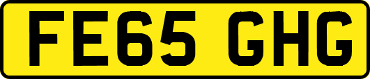 FE65GHG