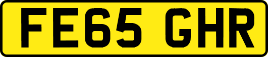 FE65GHR