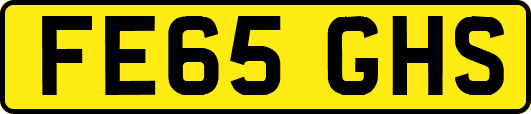 FE65GHS