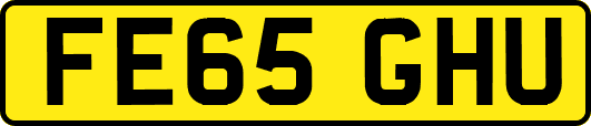 FE65GHU