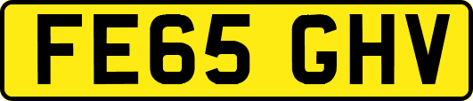FE65GHV