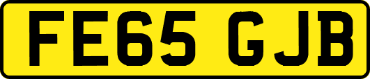 FE65GJB