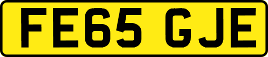 FE65GJE