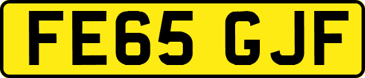 FE65GJF