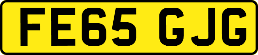 FE65GJG
