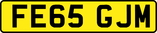 FE65GJM