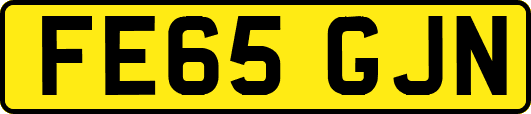 FE65GJN