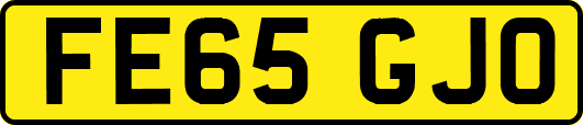 FE65GJO
