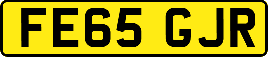 FE65GJR