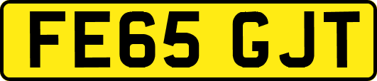 FE65GJT