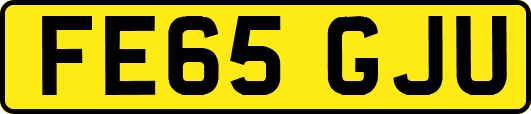 FE65GJU