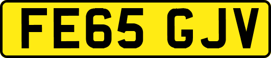 FE65GJV