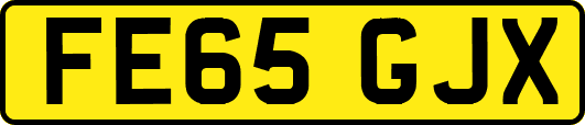 FE65GJX