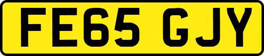 FE65GJY