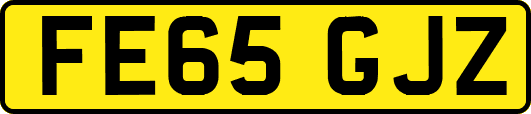 FE65GJZ