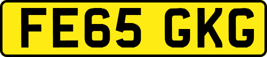 FE65GKG