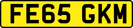 FE65GKM