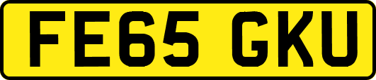 FE65GKU