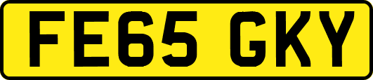 FE65GKY